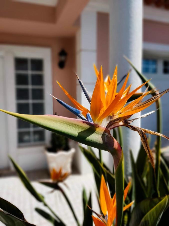 Villa Shardana B&B Sesimbra Exteriér fotografie